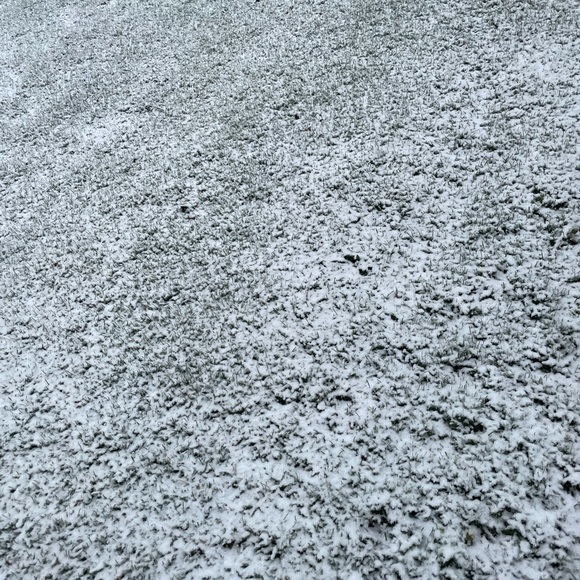 Meet your Posher, Jason - Picture 1 of 1